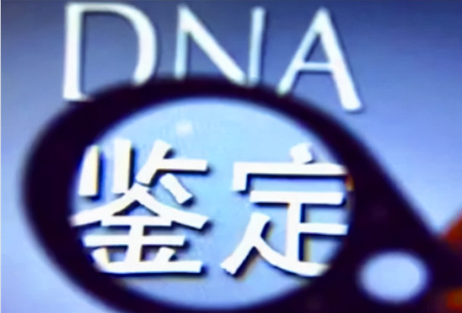 黑龙江省办理个人DNA亲子鉴定多久得到结果,黑龙江省匿名亲子鉴定办理流程指南