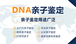 武汉司法DNA亲子鉴定费用是多少(2024更新)
