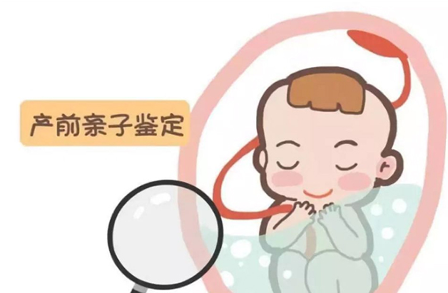 怀孕几个月如何鉴定宝宝是谁的[陇南市],陇南市无创产前亲子鉴定多少钱一次