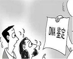 南宁匿名DNA亲子鉴定流程