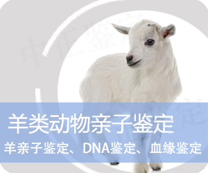 江苏省羊类动物亲子鉴定